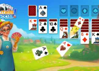 Community and Competition: The Social Aspect of Solitaire.net