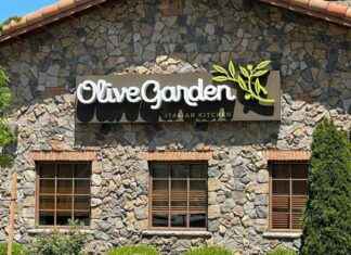 Revamped Olive Garden Menu Boosts Traffic Amid Sales Decline news-24092024-060155