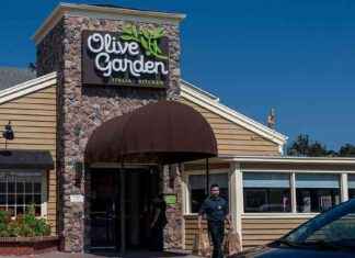 Olive Garden Revives Two Popular Menu Items Amid Slumping Sales news-24092024-060222