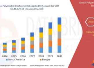 Polyimide Films Market Analysis: Size, Share, Growth, Trends, Demand by 2030 news-24092024-070022