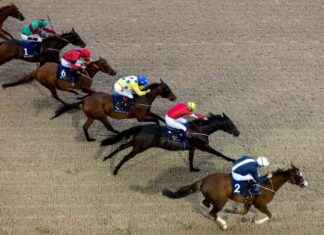 Impact of Gambling Bill on Racing TV Broadcasts in Ireland: What to Expect news-24092024-070555