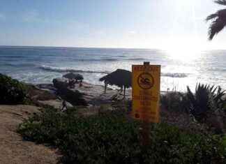 news-24092024-074214