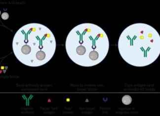 Immunoprecipitation (IP) Kit Market: Growth Potential with Merck, Takara Bio, Beaver news-24092024-085251