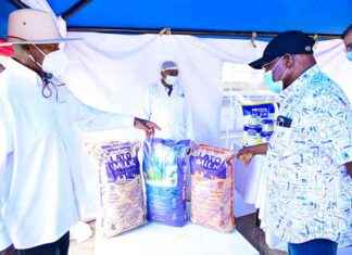 ‘Nigeria to Import Milk and Coffee from Uganda’ news-24092024-091243