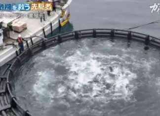 Pioneering Solutions for the Ocean Crisis: Gaia Series 57 news-24092024-092300