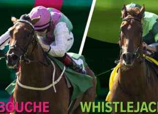 Expert Analysis and Tip for Cheveley Park and Middle Park Group 1 Contests at Newmarket news-24092024-093348