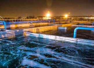 Water and Wastewater Treatment Chemicals Market Analysis: Size, Share, and Future Value 2024-2031 | Top Companies and Trends news-24092024-100429