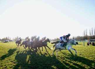 Fontwell and Newcastle Live Racing on Sky Sports: Tuesday’s Schedule news-24092024-111153