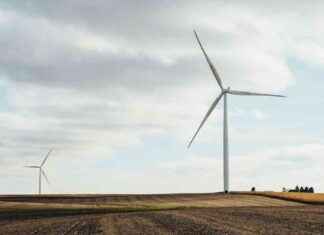 Debunking Donald Trump’s Misconceptions on Wind Energy Costs news-24092024-112000