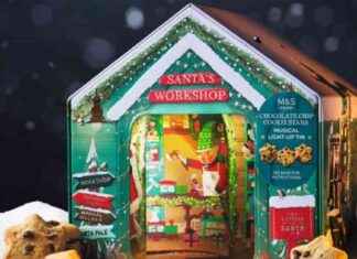 Shop the Latest Collection of Marks & Spencer’s Light-Up Christmas Gifts news-24092024-114340