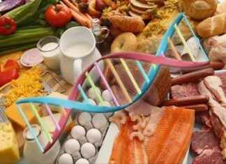 Nutrigenomics Market: Case Studies, Trends, Market Size, and Future Growth Report news-24092024-124721