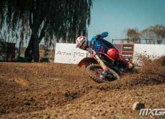 Italy Wins UEFA European Championship: Victory in Nations Cup. news-24092024-133143