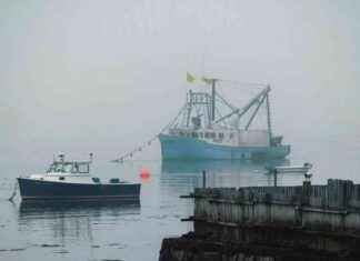 Repackaging Seafood Waste into Eco-Friendly Plastics – UConn Today news-24092024-135646