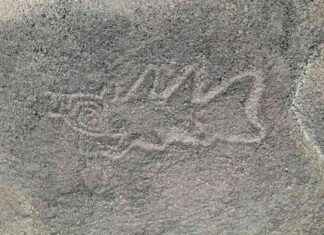 AI Unearths Hundreds of Nazca Drawings in Peruvian Desert news-24092024-142548