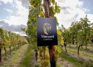 Virgin Wines Launches Own Vineyard Range: Everything You Need to Know news-24092024-142958