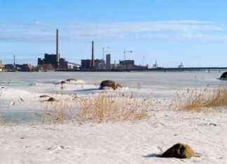 Expanding Small Wind Power Projects: Targeting New Markets news-24092024-144609