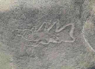 Uncovering Nazca Geoglyphs with AI Technology news-24092024-150923