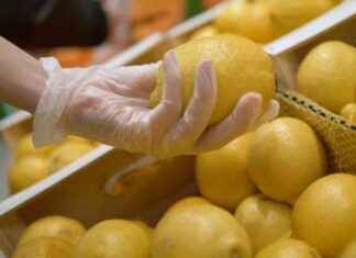 Demand for South African Stocks and Spanish Lemons Surge Due to Limited Supply: Market Impact news-24092024-152136