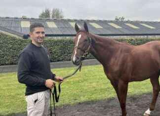Polish-Reared Yearling Makes History at Tattersalls Ireland Sale news-24092024-155200