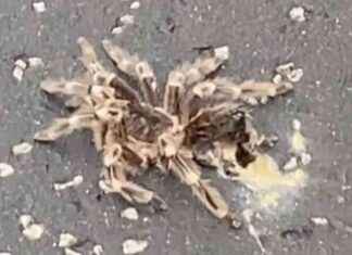 news-24092024-155353