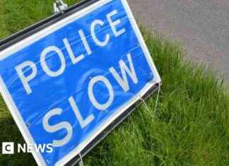 Tragic Incident: 77-Year-Old Woman Dies as Car Plunges into River Nene news-24092024-164352