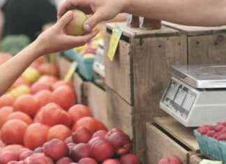 India Ranks 2nd in Consumer Confidence Study for September 2024 news-24092024-180142