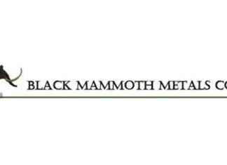 Black Mammoth Metals Secures Raven and Callaghan Gold Properties Acquisition news-25092024-161348