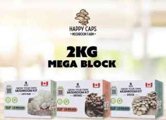 Red Light Holland Expands Happy Caps Mushroom Home Grow Kits to 82 Costco Stores in Canada news-25092024-162452