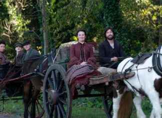 The Hardacres Announce Channel 5 Release Date for All Creatures Fans news-25092024-233400