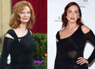 Eva Amurri Recreates Susan Sarandon’s 2003 Oscars Look 21 Years Later news-25092024-234003