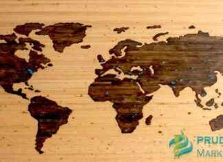 Emerging Economies Drive Growth in Low-Cost Airline Market news-26092024-035342