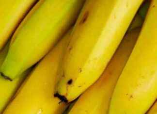 Unveiling the Mystery: The Last Slip-up in the Scandal – Revealed news-26092024-040522