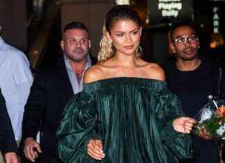 Zendaya Opens Up About Struggles with Fame: I Just Want to Be Myself news-26092024-122122