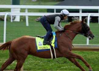 Best Horse Racing Betting Sites for UK Players in 2024 news-27092024-062215