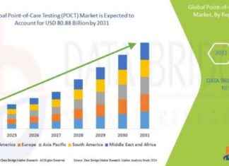 POCT Market Analysis: Size, Share, Trends, Demand, Growth, Challenges news-27092024-154436