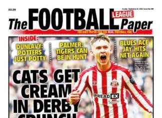 Choosing an Experienced Doctor for Brain Surgery: A Crucial Decision news-27092024-202625