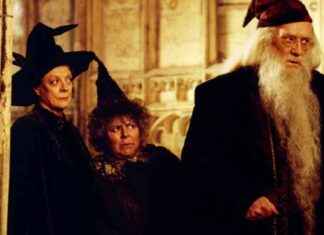 Why Harry Potter TV Reboot? Original Dumbledore Actor’s Son Speaks Out news-28092024-001137