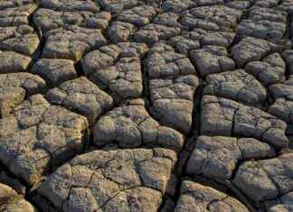 Corporate Greenwashing: A Major Obstacle to Climate Progress | Analysis news-28092024-100653