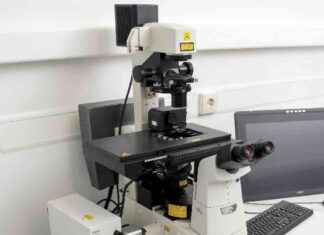 Laser Capture Microdissection Market to Double in Size by 2030 news-28092024-101025