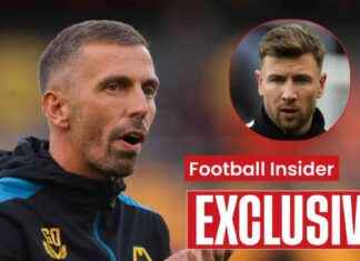 Wolves Targeting Two Premier League Free Agents for Signings news-28092024-134720