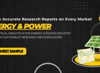 Fuel Cell Market Trends and Growth Opportunities | Horizon Fuel Cell Technologies, ElringKlinger, Hydrogenics, SOLIDpower Italia news-28092024-142250