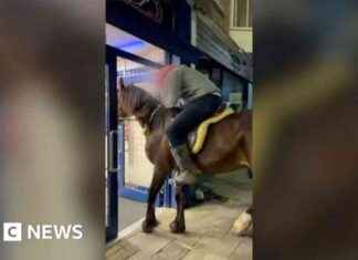 Horses Queue in Chippy: Porthcawl Customers Shocked news-08102024-192929