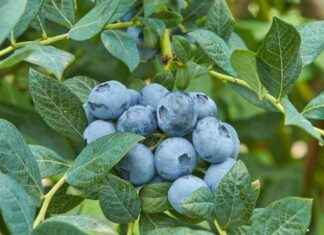 Fall Creek Appoints New Commercial Director news-08102024-235346