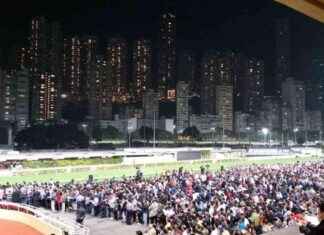 Hong Kong Happy Valley Selections Oct. 9 | TwinSpires news-09102024-182237