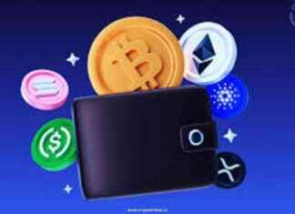 Global Growth of Bitcoin & Cryptocurrency Wallets: Coinomi, Jaxx Liberty, Robinhood news-12102024-030318