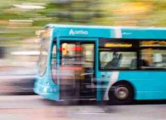 Free Bus Tickets: 10,000 Available for Use in Hertfordshire news-12102024-070549