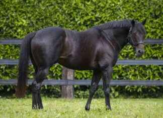 news-12102024-155915