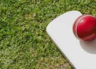 European Cricket Championship Premier 2024: ITA vs NED-XI Dream11 Prediction, Fantasy Team Tips & Weather Update news-13102024-041849