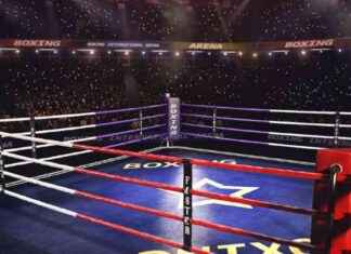 Seiya Tsutsumi Defeats Takuma Inoue to Claim WBA Bantamweight Title news-13102024-161904