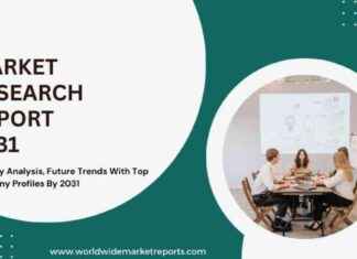 Helicopter Offshore Transportation Market Growth Analysis 2024-2031: Insights, SWOT, Size, Share | Bristow Group, PHI, Inc. news-15102024-132449